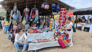 media-17553345322041116492_1200x630