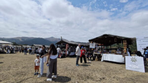 media-17553345322222753535_1200x630