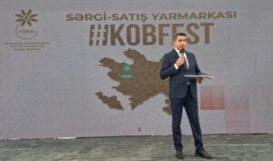 media-17553345326004539897_1200x630