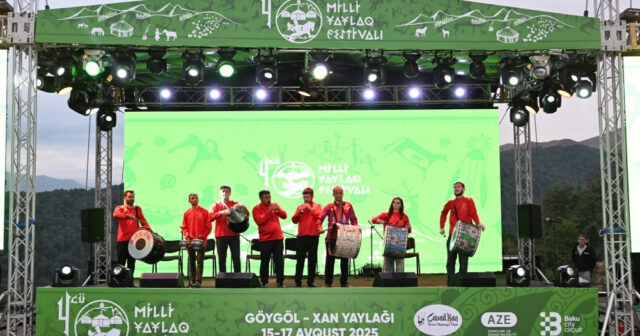 media-17553637136336715234_1200x630