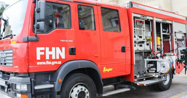 media-17554031012031228984_1200x630