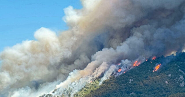 media-1755421580638354228_1200x630