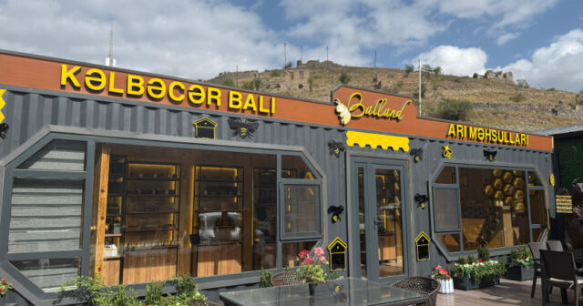 media-17558449616492028873_1200x630