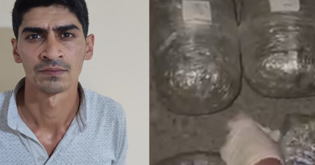 media-17559419273823836773_1200x630