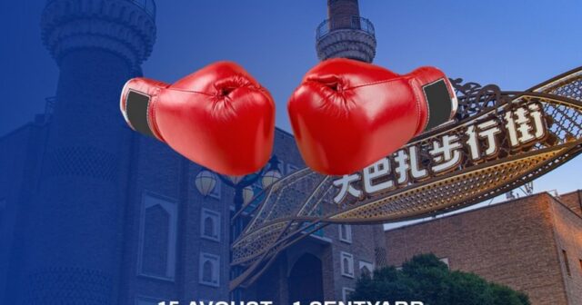 media-36f50a2d-dd5b-346c-b6b7-811c9f3e738b_850