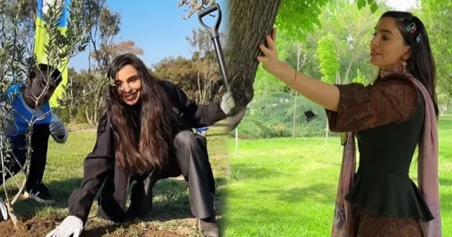 media-tia_ec42596b198db50d25af5d2618c425a3_ino8xveafg03hly7uc4s