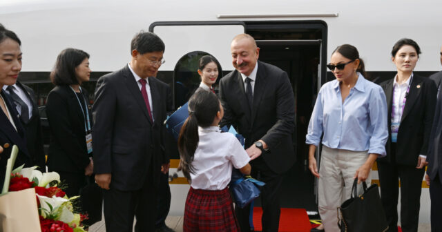 media-17568053471585525165_1200x630