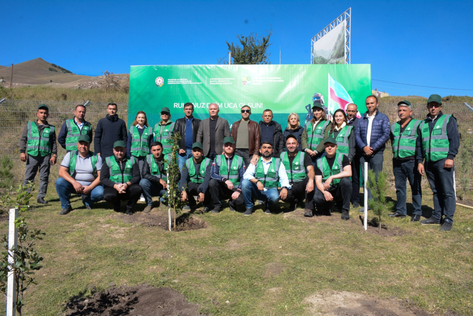 media-17589532215968132950_1200x630