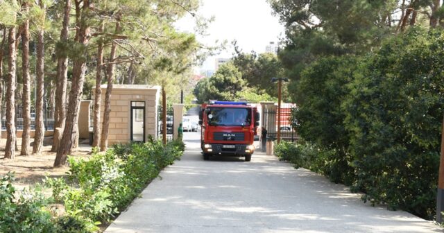 media-3fb1ed81-3b10-4620-bdd4-bed3db34a9a2