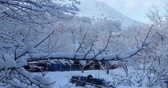 media-5qtrmmatbawlzvduhusq2lk5cbcciy0jvdn6rebx