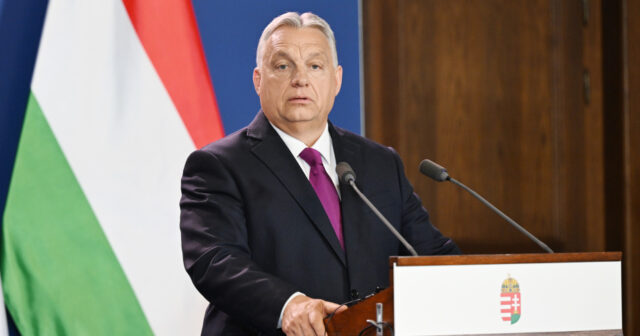 media-img_3567