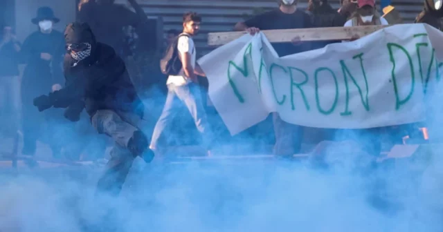 media-vgaefn2edbolhqm7ungbu7z1cmj1ve70sdmmuwqw_825