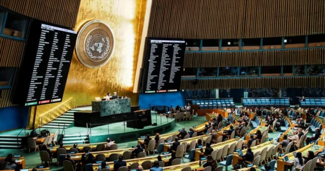 media-vdc2iehu25y61vlvi8q8vvb7uioxfxs6qcuupvdb_1200