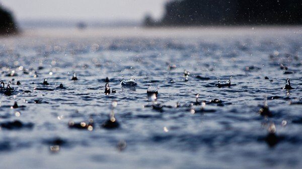 media-1554976950_yagis