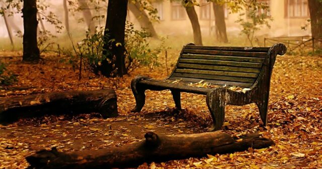 media-1632142990_payiz