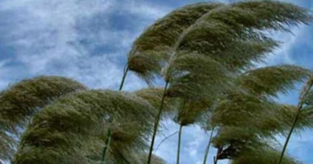 media-1676191534_kulekli