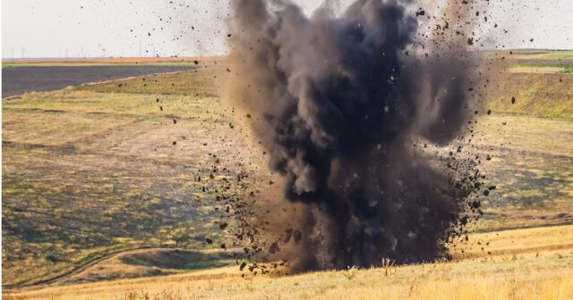 media-1707056761_image_750x_6415c39bc5eea