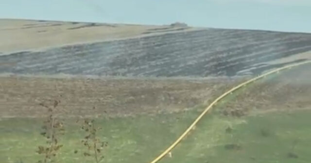 media-17612076012688624936_1200x630