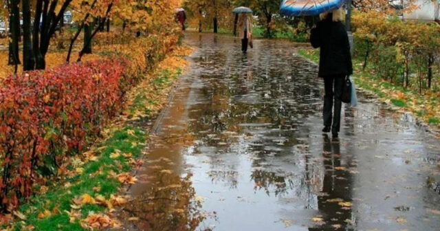 media-17617267565348822915_1200x630