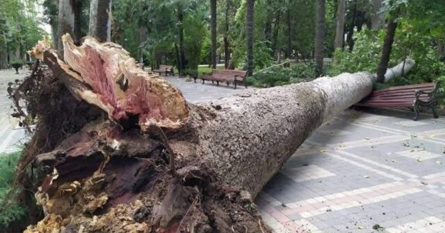 media-1761809758-xan-bagi