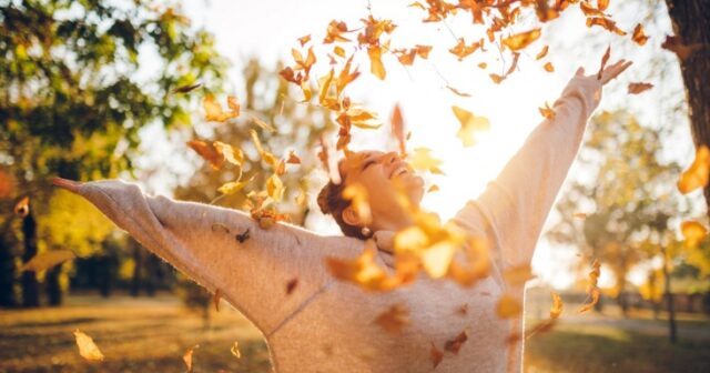 media-177891031368ffd3b2a3323