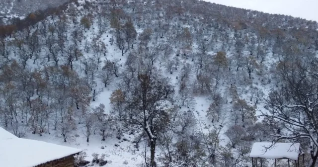 media-1lsd9bohuq9ic1uznehx7hn8qsy9dfcltp6log7h