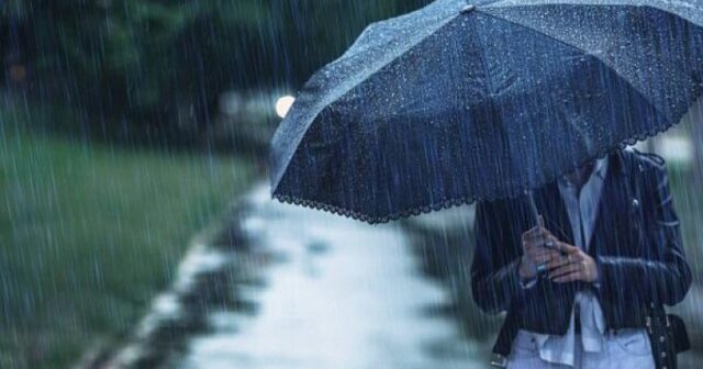 media-2fc7f3f4ebf04f8f438abe0b7d04fb1f