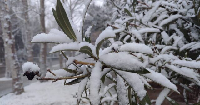 media-2fd5d8f7acbd4ded1d74c5851c98ae41