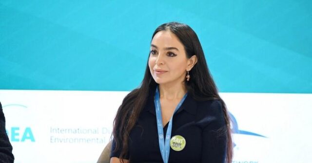 media-359264_l1i4ee35yb