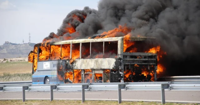 media-56gjuxr9a1g0tl1cuvgphs7plxzc738mzycqs1gq_1200