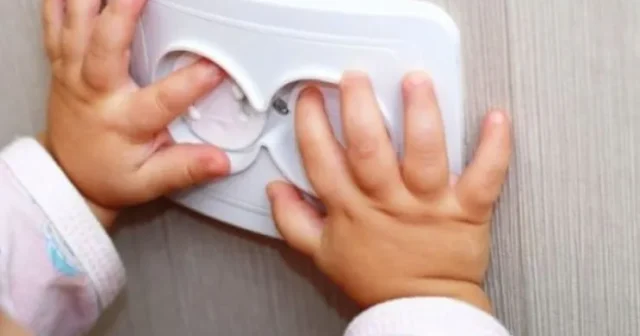 media-68ff113a3fdc168ff113a3fdc2176154655468ff113a3fdbf68ff113a3fdc0