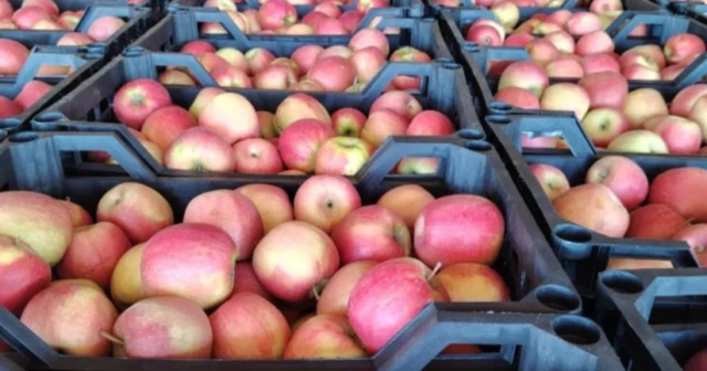 media-7ks4pkbszeueldfpn8igyn9s9fhgiupkmjuupjji_825