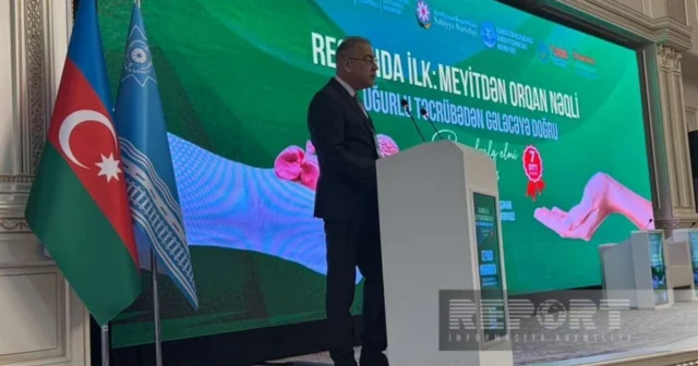 media-mp902yvipia1aji8exa1veuu29hw8kcumukjgrtb_1200