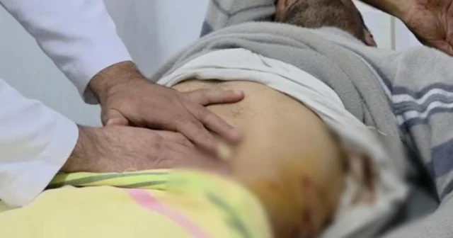 media-p7kmfol9qwisrnveh1bwlk4enflrktzf9qwfbk3n_1200