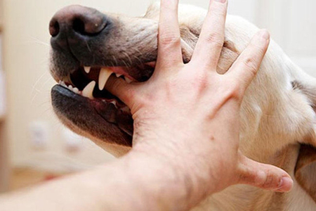 media-e0c543a7ac58132c8571e0d6e0aeaa9f