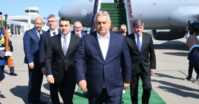 media-m2hpp5cjzkcr7wkke7dy8ofqmvzzd2ehmxqehsfs_825