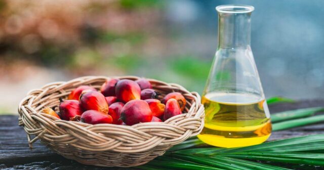 media-__opt__aboutcom__coeus__resources__content_migration__mnn__images__2018__04__palm_oil_fruit-88813e8cb0834aebae3ebfcf8de399ba