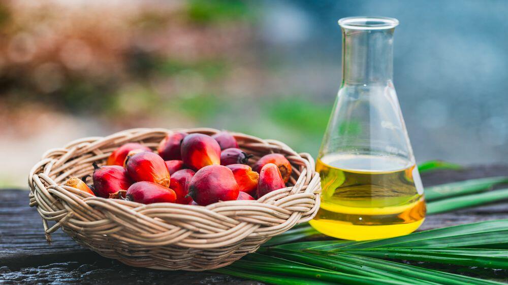 media-__opt__aboutcom__coeus__resources__content_migration__mnn__images__2018__04__palm_oil_fruit-88813e8cb0834aebae3ebfcf8de399ba