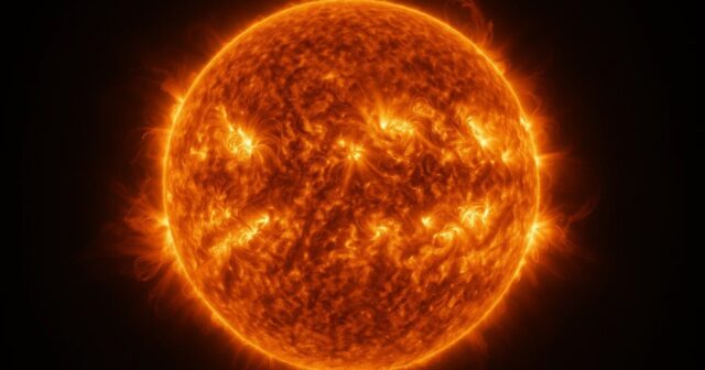 media-photo_5438522770175686701_w