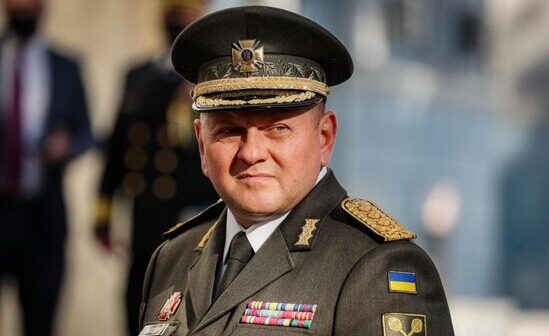 media-1642233_zl3p5b4av0