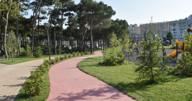 media-16605756444817513193_1200x630