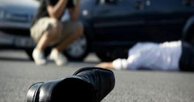 media-1691309594_qeza-4