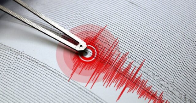 media-1735061444_zelzel