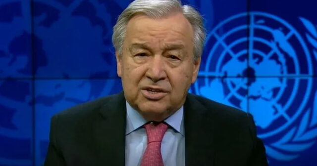 media-175852268518579240_1200x630