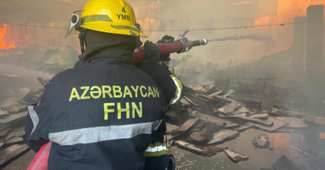 media-176131008548816412968fb758592112