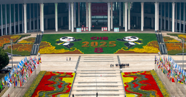 media-17621764492891836958_1200x630