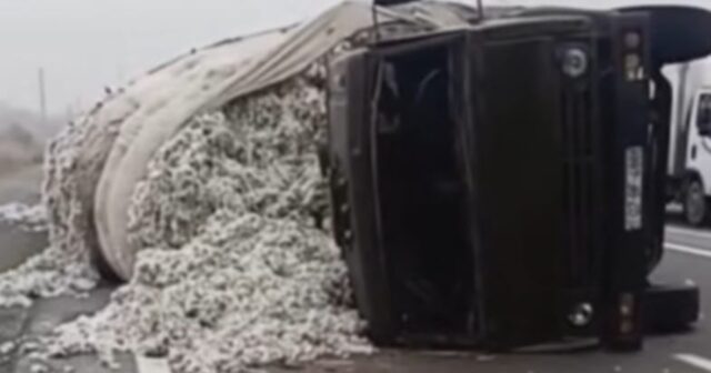 media-1762850937-7ebb08e4-b2b0-4c10-a6ea-f1f966049dee