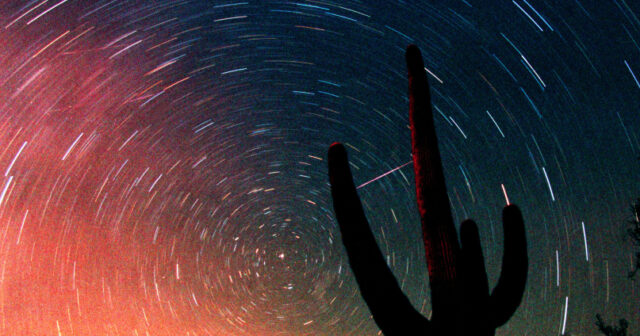 media-17631166474416049509_1200x630