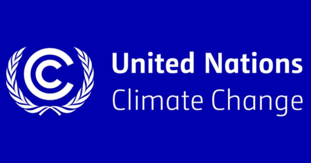 media-17636296122828624986_1200x630