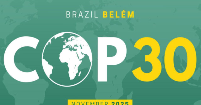 media-17638932283425553536_1200x630